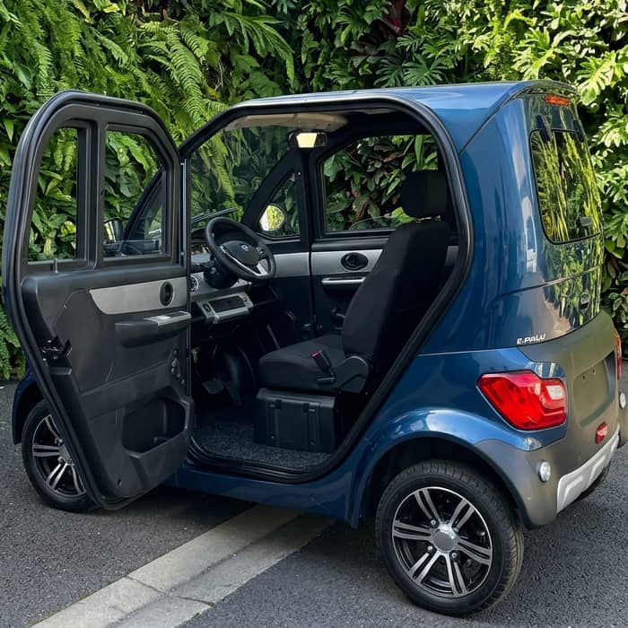 vsp assurance microlino